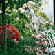 Image for article titled Disgusted Patio Diner Pretty Sure She Just Saw Coronavirus Scurry Into Bushes
